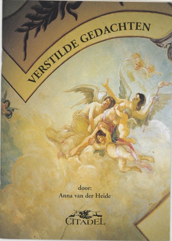 Cover van het boek 'Verstilde gedachten' van Anno van der Heide