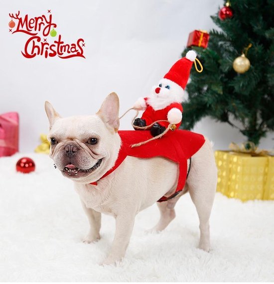 bom Leggen bruid Dogs&Co Kerstkleding voor de hond of kat - Maat XL | bol.com