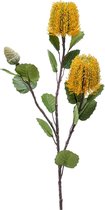Kunstbloem Banksia geel 72 cm