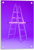 Tuinposter – Ledstaaf op Ladder - 40x60cm Foto op Tuinposter  (wanddecoratie voor buiten en binnen)