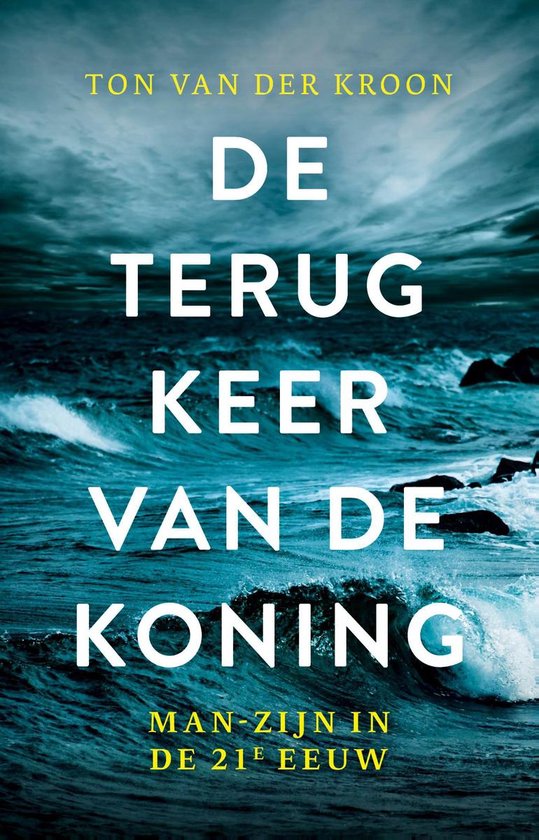 De terugkeer van de koning - cover