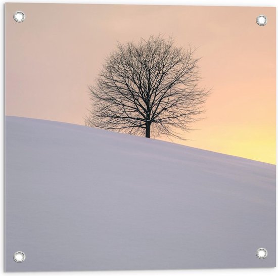 Tuinposter – Boom achter een Berg Sneeuw  - 50x50cm Foto op Tuinposter  (wanddecoratie voor buiten en binnen)