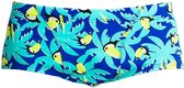 Eco Bird Brain Classic Trunks Classic Trunk - Heren | Funky Trunks