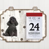 Scheurkalender 2023 Hond: Poedel zwart