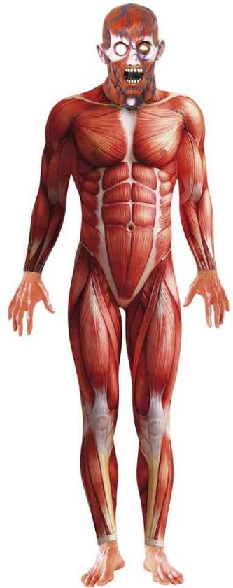 Costume intégral anatomique imprimé de muscles et de veines en rouge, blanc et bleu.