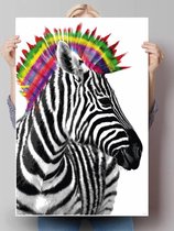 Poster Zebra punker 91,5x61 cm