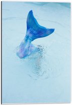 Dibond - Blauwe Zeemeermin staart in het Water - 40x60cm Foto op Aluminium (Wanddecoratie van metaal)