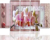 Schilderij , Roze Orchidee 2 , 4 maten , 5 luik , roze wit , Premium print , XXL