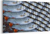 Schilderij - Abstract fish background — 100x70 cm