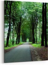 Schilderij - Het groene bos in Holland — 70x100 cm