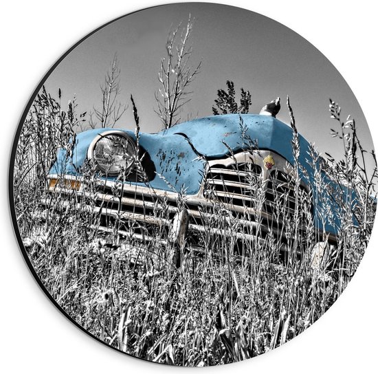 Dibond Wandcirkel - Blauwe Retro Auto in Gras - 20x20cm Foto op Aluminium Wandcirkel (met ophangsysteem)