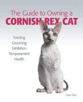 Guide to Owning a Cornish Rex Cat