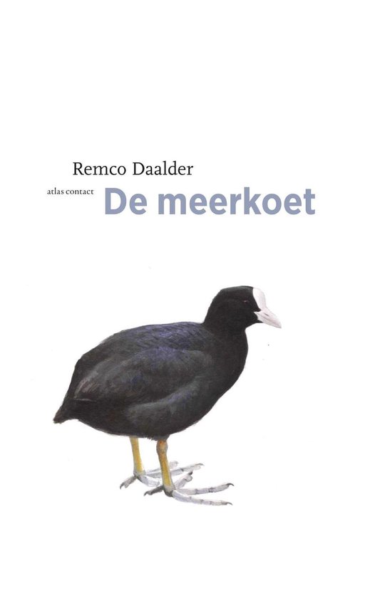 De vogelserie 11 - Meerkoet