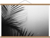 Schoolplaat – Palmbladeren (zwart/wit) - 90x60cm Foto op Textielposter (Wanddecoratie op Schoolplaat)
