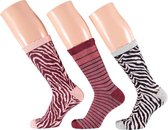 Apollo Zebra Socks | 3-Pack Giftbox | Maat 36-41
