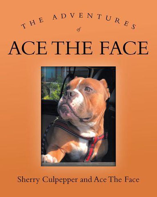 The Adventures of Ace The Face - cover
