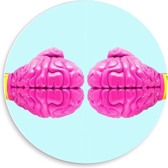 Forex Wandcirkel - Roze Hersenen Bokshandschoenen - 50x50cm Foto op Wandcirkel (met ophangsysteem)