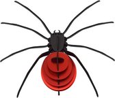 Assembli Spin-Rood