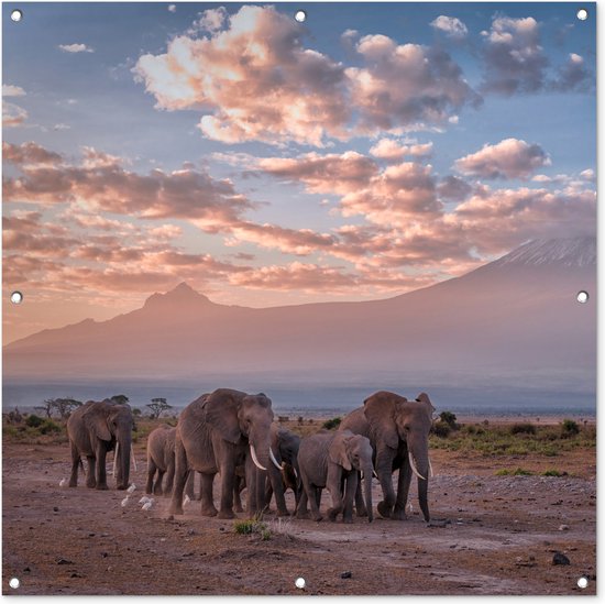 Foto: Tuindoek olifant dieren avond landschap savanne 100x100 cm