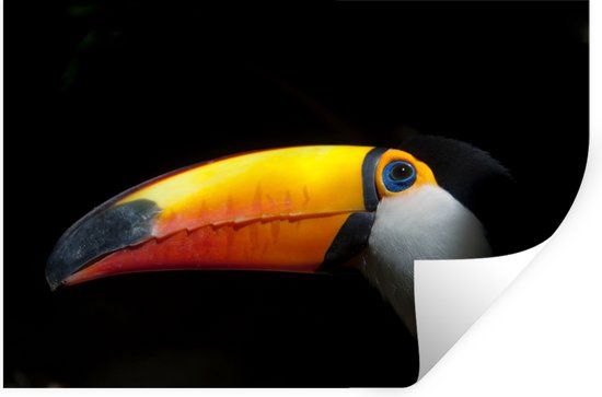 Stickers muraux - Toucan - Vogel - Bec - 120x80 cm - Feuille adhésive