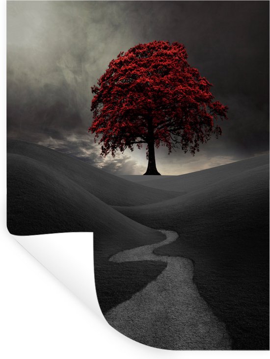 Muurstickers - Sticker Folie - Een zwart-wit foto met een grote rode boom - 90x120 cm - Plakfolie - Muurstickers Kinderkamer - Zelfklevend Behang - Zelfklevend behangpapier - Stickerfolie