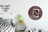 WallCircle - Wandcirkel - Muurcirkel - Hond - Grappig - Kattenluik - Kinderen - Jongens - Meisjes - Kids - Aluminium - Dibond - ⌀ 60 cm - Binnen en Buiten