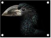 Tuin decoratie Vogel - Portret - Neushoornvogel - Zwart - Dieren - 40x30 cm - Tuindoek - Buitenposter