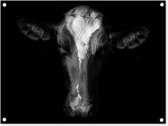 Tuinschilderij Portretfoto koe op zwarte achtergrond in zwart-wit - 80x60 cm - Tuinposter - Tuindoek - Buitenposter