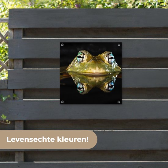 Tuinposter 50x50 cm - Tuindecoratie Kikker - Ogen - Portret - Poster voor in de tuin - Buiten decoratie - Schutting tuinschilderij - Tuindoek muurdecoratie - Wanddecoratie balkondoek