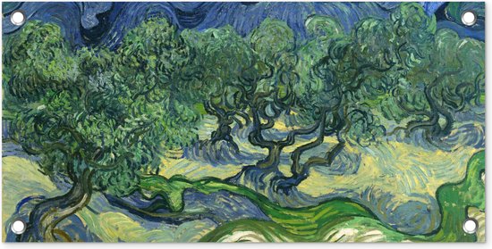 Tuinposter De olijfbomen - Vincent van Gogh - 60x30 cm - Tuindoek - Buitenposter