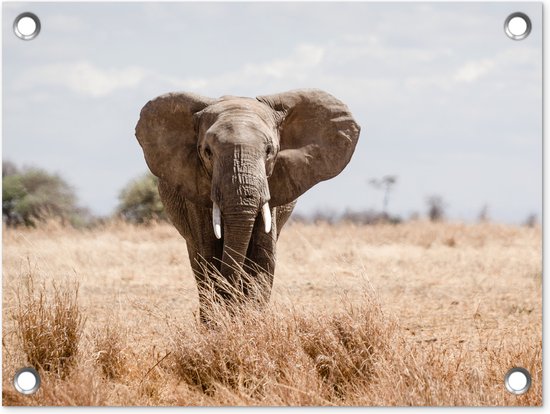 Olifant VERSIERING voor een VERJAARDAG | Feestwinkel Altijd Feest