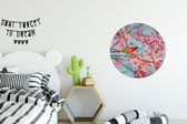 Cercle mural - Cercle mural - Vogel - Sakura - Couleurs - Aluminium - Dibond - ⌀ 60 cm - Intérieur et extérieur