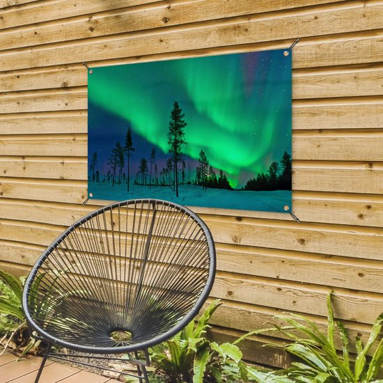 Posters de jardin Aurores boréales - Suède - Arbre - 90x60 cm