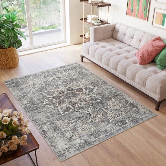 Tapiso Valley Tapis Salon Chambre Gris Clair Cadre Design Moderne Fleurs Durable Vintage Haute Qualité Tapis Taille - 200x300