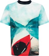 WE Fashion Jongens T-shirt met dessin