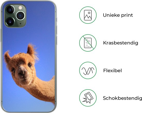Telefoonhoesje Geschikt voor iPhone 11 Pro hoesje - Alpaca - Bruin - Blauw - Siliconen Telefoonhoesje Telefoonhoesje