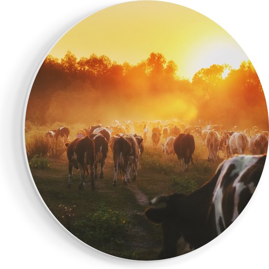 Artaza Muurcirkel - Kudde Koeien In Weiland Bij Zonsondergang - Wandcirkel - Rond Schilderij