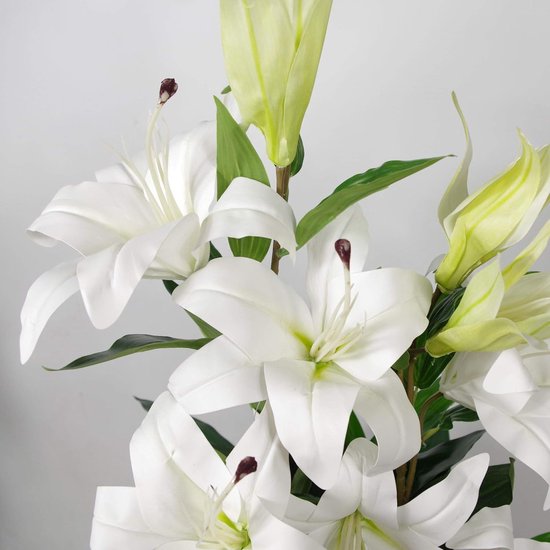 Video's over Wat is Groothandel Goedkope Potplant Palmboom Kunststof Realistische Bladeren Boom