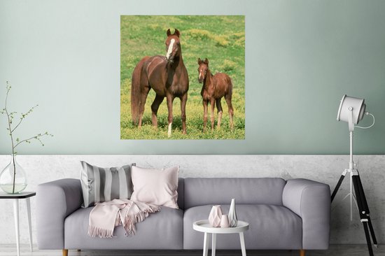 Affiche Paarden - Herbe - Marron - 75x75 cm