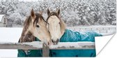 Poster Paarden - Deken - Sneeuw - 40x20 cm