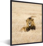 Cadre photo avec affiche - Un lion dans les hautes herbes du parc national du Serengeti en Tanzanie - 30x40 cm - Cadre pour affiche