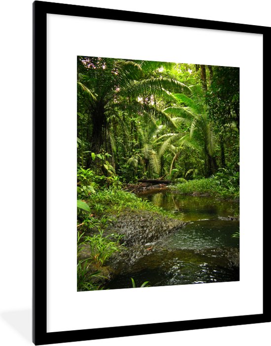 Fotolijst incl. Poster - Tropisch regenwoud in Colombia - 60x80 cm - Posterlijst