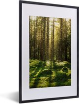 Fotolijst incl. Poster - Bomen - Bos - Mos - Planten - Zon - Natuur - 40x60 cm - Posterlijst