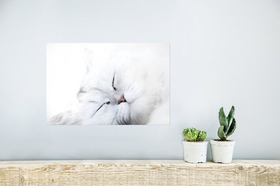 Poster 30x20 cm - Kat - Wit - Close up - Posters - Kamer decoratie - Wanddecoratie woonkamer - Muurdecoratie slaapkamer