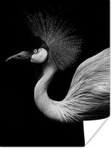 Poster Kraanvogel - Zwart - Wit - Vogel - Dieren - 30x40 cm