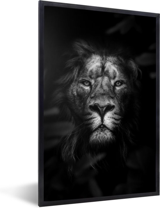 Fotolijst incl. Poster Zwart Wit- Portret van een leeuw in de jungle - zwart wit - 20x30 cm - Posterlijst