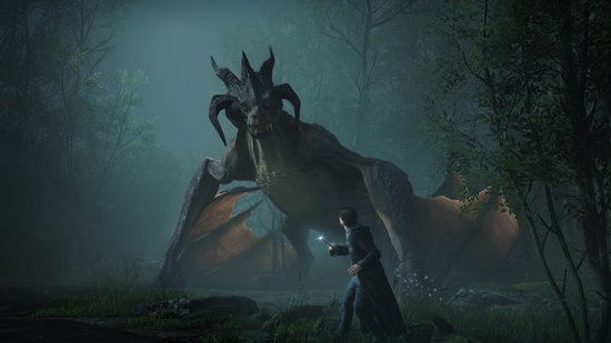 Un étudiant avec une baguette se tient face à un grand dragon dans une forêt brumeuse.