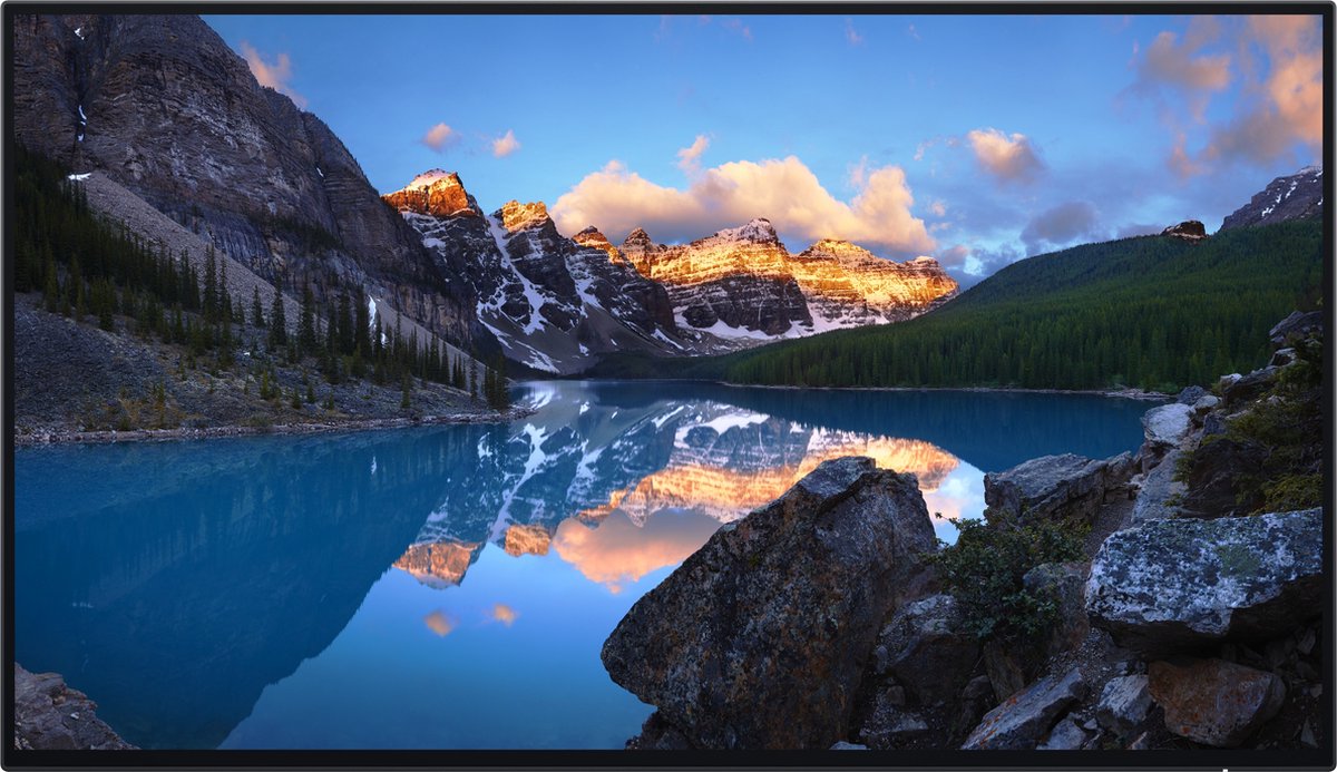 Dell UltraSharp U2424H WOST ledmonitor