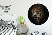 WallCircle - Wandcirkel - Muurcirkel - Luipaard - Wilde dieren - Licht - Aluminium - Dibond - ⌀ 140 cm - Binnen en Buiten