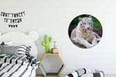WallCircle - Wandcirkel - Muurcirkel - Witte tijger - Boomstam - Bos - Aluminium - Dibond - ⌀ 60 cm - Binnen en Buiten
